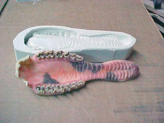 Mold Max 40