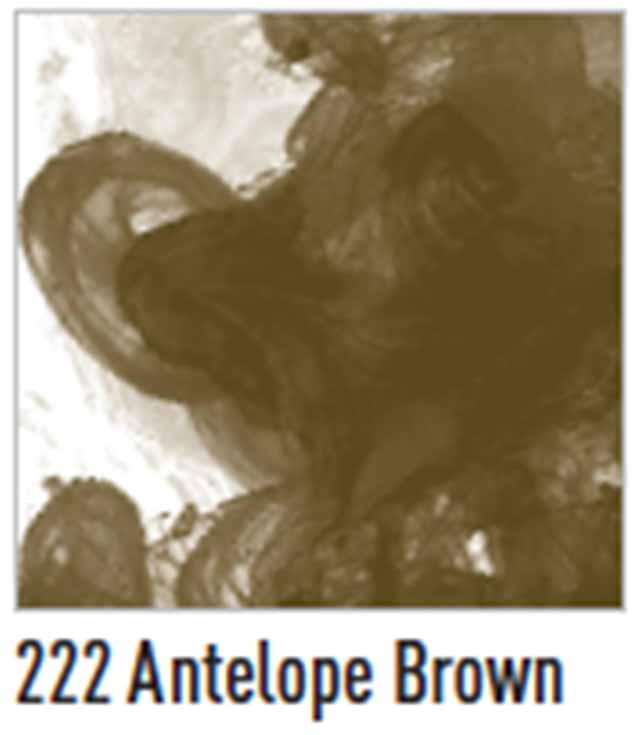 FW Acrylic Artists Inks