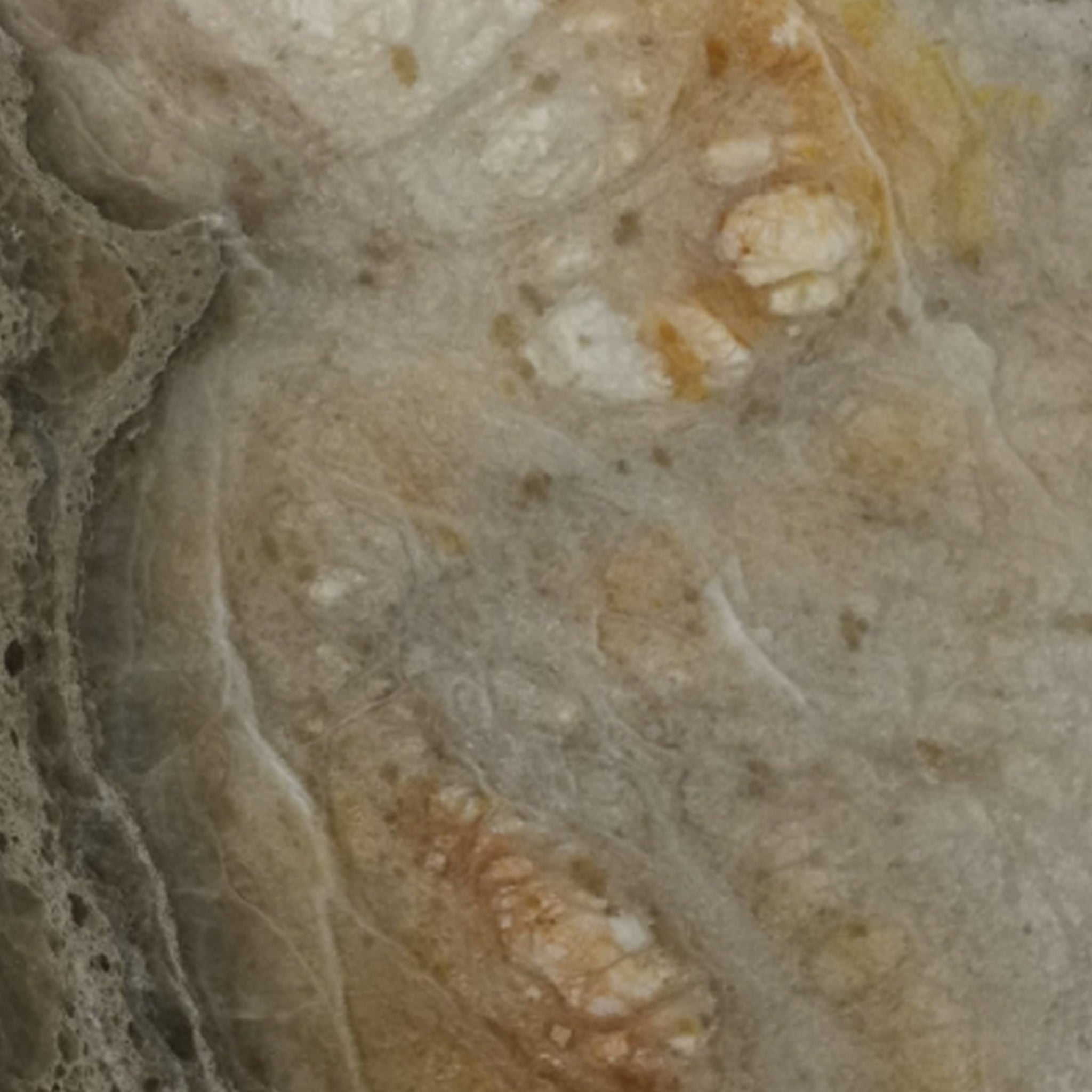 Harvest Gold Alabaster