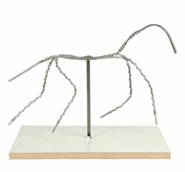 Animal Armature