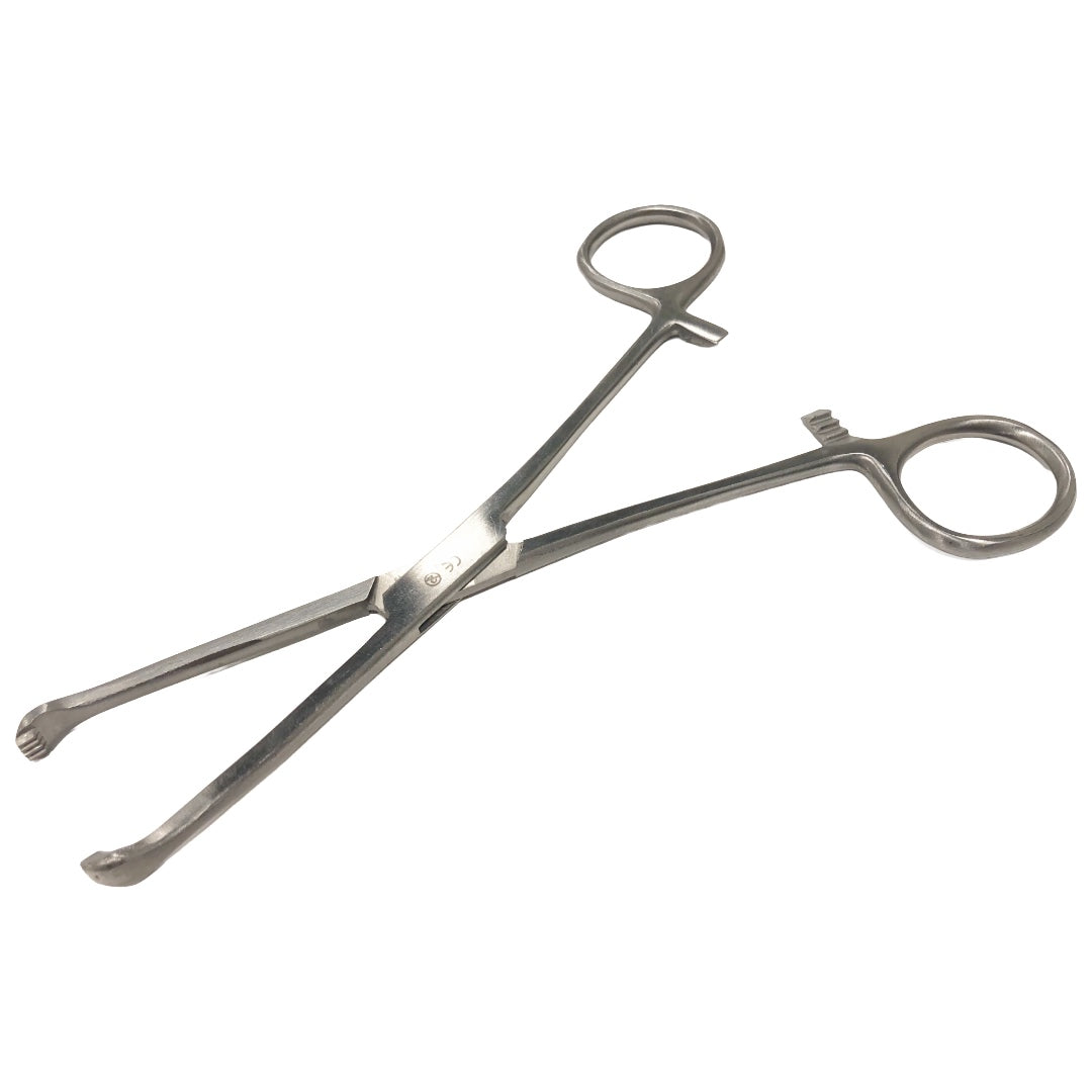 Stainless Steel Scissor Prongs Claw Tip 6 in