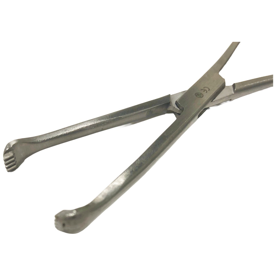 Stainless Steel Scissor Prongs Claw Tip 6 in